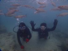 沖縄青の洞窟ダイビングショップ【マリンクラブクレアブログ】