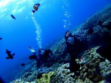 沖縄青の洞窟ダイビングショップ【マリンクラブクレアブログ】