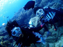 沖縄青の洞窟ダイビングショップ【マリンクラブクレアブログ】