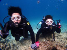 沖縄青の洞窟ダイビングショップ【マリンクラブクレアブログ】