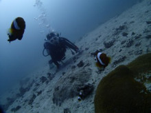 沖縄青の洞窟ダイビングショップ【マリンクラブクレアブログ】