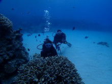 沖縄青の洞窟ダイビングショップ【マリンクラブクレアブログ】