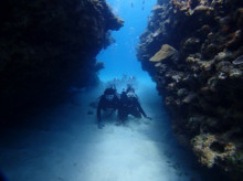 沖縄青の洞窟ダイビングショップ【マリンクラブクレアブログ】