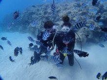 沖縄青の洞窟ダイビングショップ【マリンクラブクレアブログ】