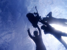 沖縄青の洞窟ダイビングショップ【マリンクラブクレアブログ】