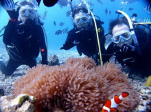 沖縄青の洞窟ダイビングショップ【マリンクラブクレアブログ】