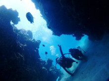 沖縄青の洞窟ダイビングショップ【マリンクラブクレアブログ】