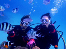 沖縄青の洞窟ダイビングショップ【マリンクラブクレアブログ】