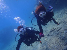 沖縄青の洞窟ダイビングショップ【マリンクラブクレアブログ】