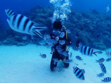 沖縄青の洞窟ダイビングショップ【マリンクラブクレアブログ】