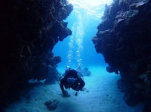 沖縄青の洞窟ダイビングショップ【マリンクラブクレアブログ】