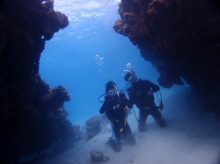 沖縄青の洞窟ダイビングショップ【マリンクラブクレアブログ】