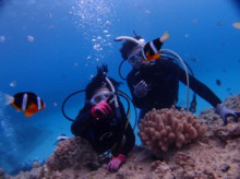 沖縄青の洞窟ダイビングショップ【マリンクラブクレアブログ】