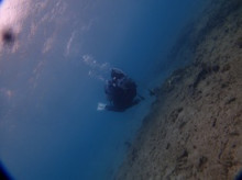 沖縄青の洞窟ダイビングショップ【マリンクラブクレアブログ】