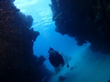 沖縄青の洞窟ダイビングショップ【マリンクラブクレアブログ】