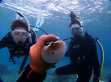 沖縄青の洞窟ダイビングショップ【マリンクラブクレアブログ】