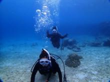 沖縄青の洞窟ダイビングショップ【マリンクラブクレアブログ】