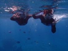 沖縄青の洞窟ダイビングショップ【マリンクラブクレアブログ】