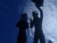 沖縄青の洞窟ダイビングショップ【マリンクラブクレアブログ】