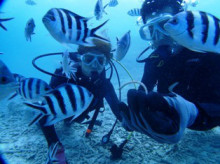 沖縄青の洞窟ダイビングショップ【マリンクラブクレアブログ】