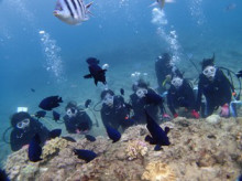 沖縄青の洞窟ダイビングショップ【マリンクラブクレアブログ】