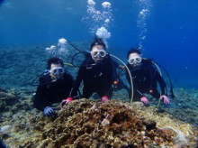 沖縄青の洞窟ダイビングショップ【マリンクラブクレアブログ】