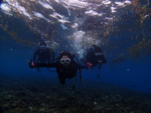 沖縄青の洞窟ダイビングショップ【マリンクラブクレアブログ】