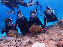 沖縄青の洞窟ダイビングショップ【マリンクラブクレアブログ】