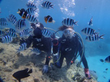 沖縄青の洞窟ダイビングショップ【マリンクラブクレアブログ】