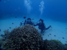 沖縄青の洞窟ダイビングショップ【マリンクラブクレアブログ】