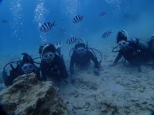 沖縄青の洞窟ダイビングショップ【マリンクラブクレアブログ】