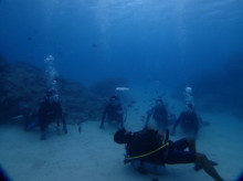 沖縄青の洞窟ダイビングショップ【マリンクラブクレアブログ】