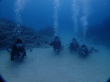 沖縄青の洞窟ダイビングショップ【マリンクラブクレアブログ】