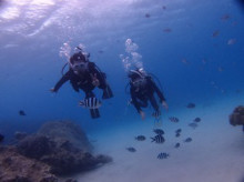 沖縄青の洞窟ダイビングショップ【マリンクラブクレアブログ】