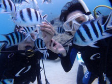 沖縄青の洞窟ダイビングショップ【マリンクラブクレアブログ】