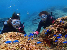 沖縄青の洞窟ダイビングショップ【マリンクラブクレアブログ】