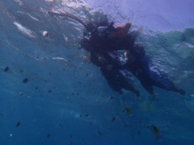 沖縄青の洞窟ダイビングショップ【マリンクラブクレアブログ】