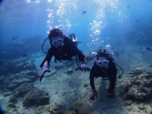 沖縄青の洞窟ダイビングショップ【マリンクラブクレアブログ】