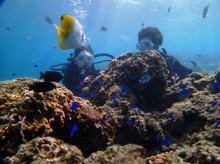 沖縄青の洞窟ダイビングショップ【マリンクラブクレアブログ】