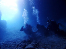 沖縄青の洞窟ダイビングショップ【マリンクラブクレアブログ】