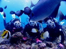 沖縄青の洞窟ダイビングショップ【マリンクラブクレアブログ】