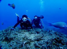 沖縄青の洞窟ダイビングショップ【マリンクラブクレアブログ】