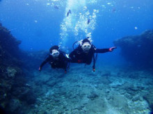 沖縄青の洞窟ダイビングショップ【マリンクラブクレアブログ】