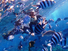 沖縄青の洞窟ダイビングショップ【マリンクラブクレアブログ】