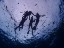 沖縄青の洞窟ダイビングショップ【マリンクラブクレアブログ】