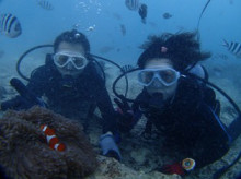 沖縄青の洞窟ダイビングショップ【マリンクラブクレアブログ】