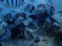 沖縄青の洞窟ダイビングショップ【マリンクラブクレアブログ】