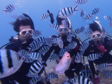 沖縄青の洞窟ダイビングショップ【マリンクラブクレアブログ】