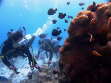 沖縄青の洞窟ダイビングショップ【マリンクラブクレアブログ】