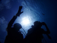 沖縄青の洞窟ダイビングショップ【マリンクラブクレアブログ】